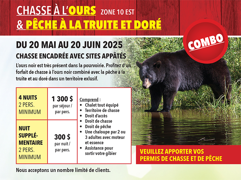 Chasse à l'ours noir